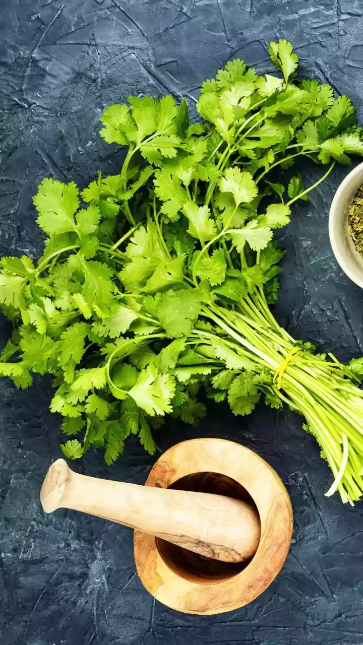 Balcony Gardeners Swap Ornamental Plants For Fast Edible Coriander Sprigs