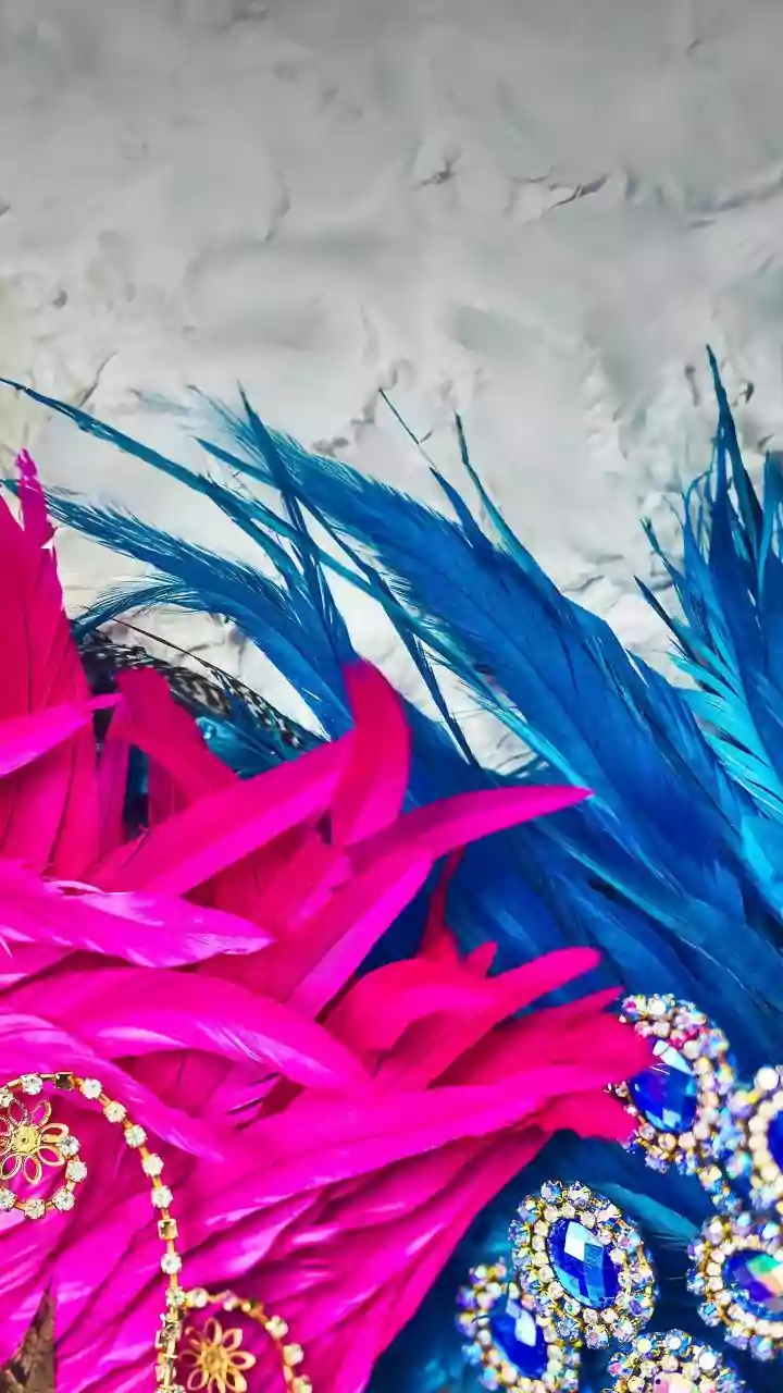 Beyond the Usual: 7 Astonishing Indian Festivals You Never Knew Existed