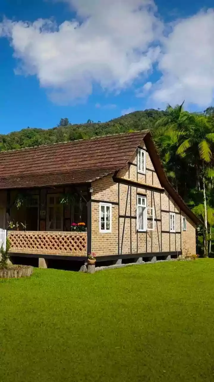 Monsoon Retreats In Wayanad: Rainforest Homestays Perfect For Rainy Escapes