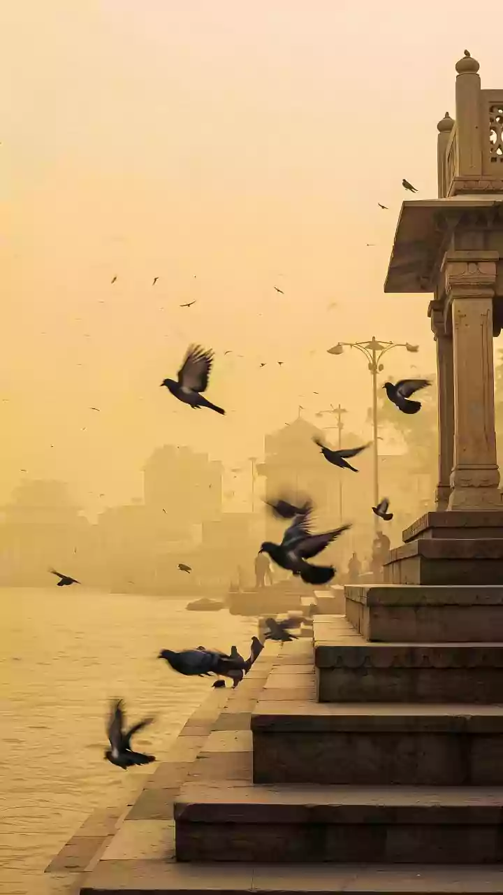 Dense Fog Engulfs Delhi-NCR; Over 140 Flights Cancelled, Trains Delayed As Visibility Drops Significantly, AQI In 'Severe' Level | VIDEOS