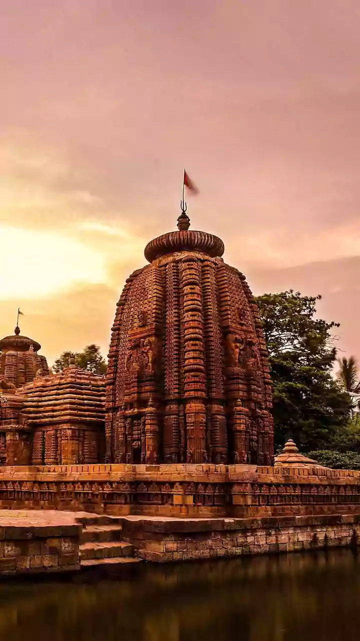 Odisha Bans Man from RTI Requests for Year