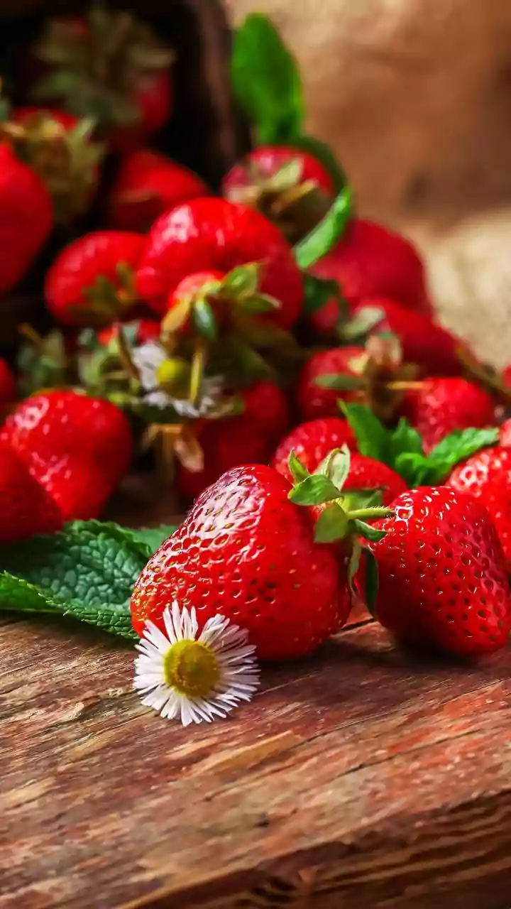 Year-Round Strawberry Production Expands Through Semi-Open Polyhouses