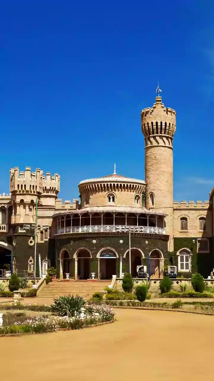 The Fly That Eats Garbage: Bengaluru's New Ally In The Waste War