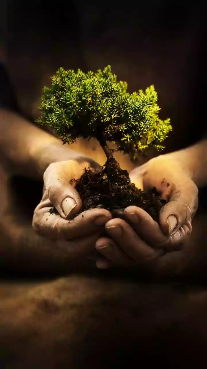 Unlock Life's Abundance: The Power of Giving Beyond Yourself