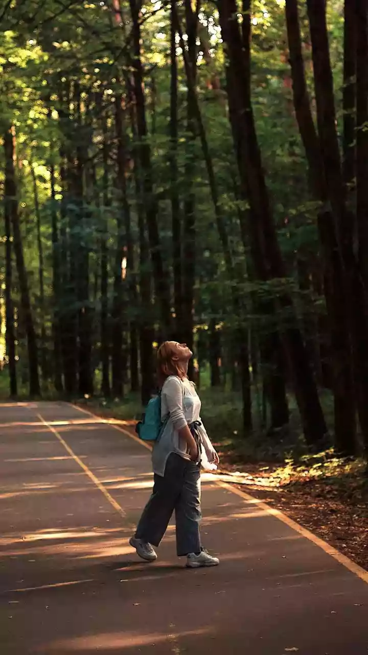 Turn Walks Into Wellness: A Guide to Meditative Walking