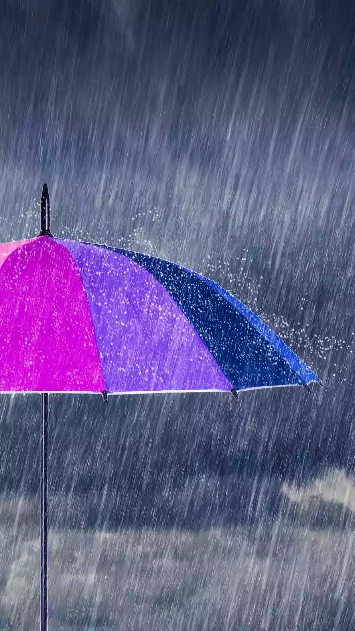 Monsoon Travel Is Now A Forecast Game