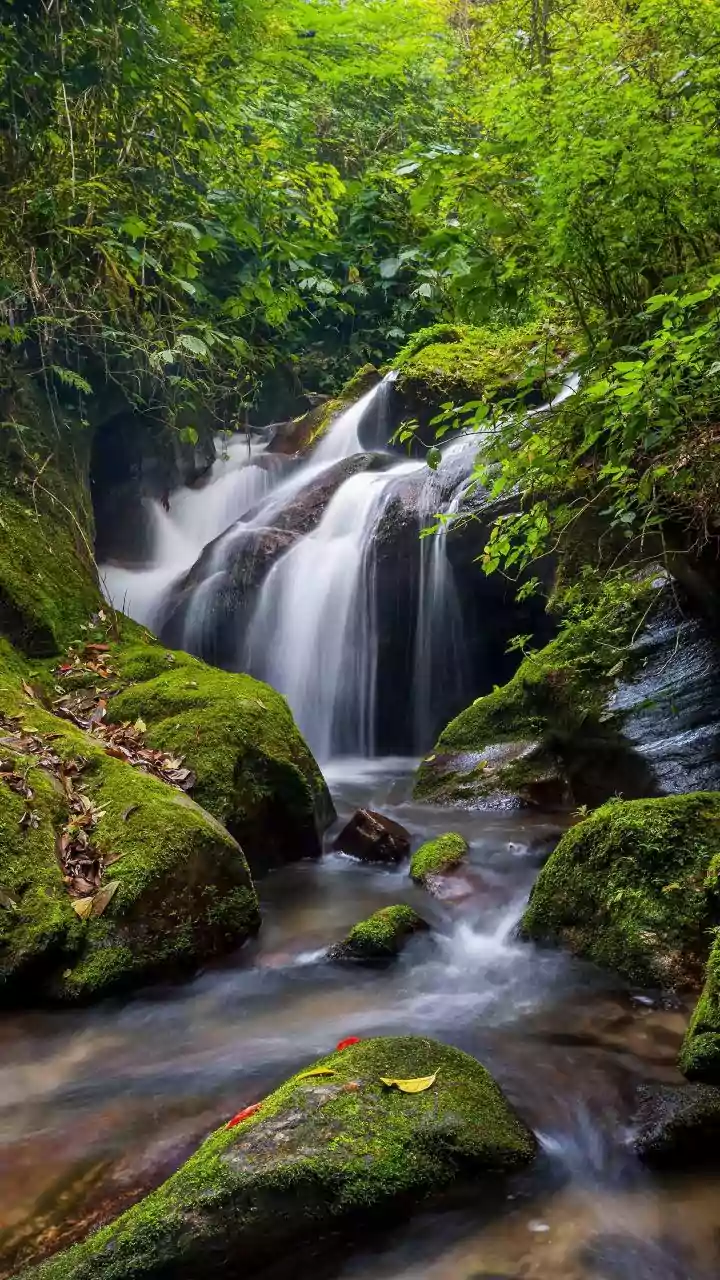 Why Monsoon Weekends Are Ideal For Exploring Nearby Nature Without Long Holidays