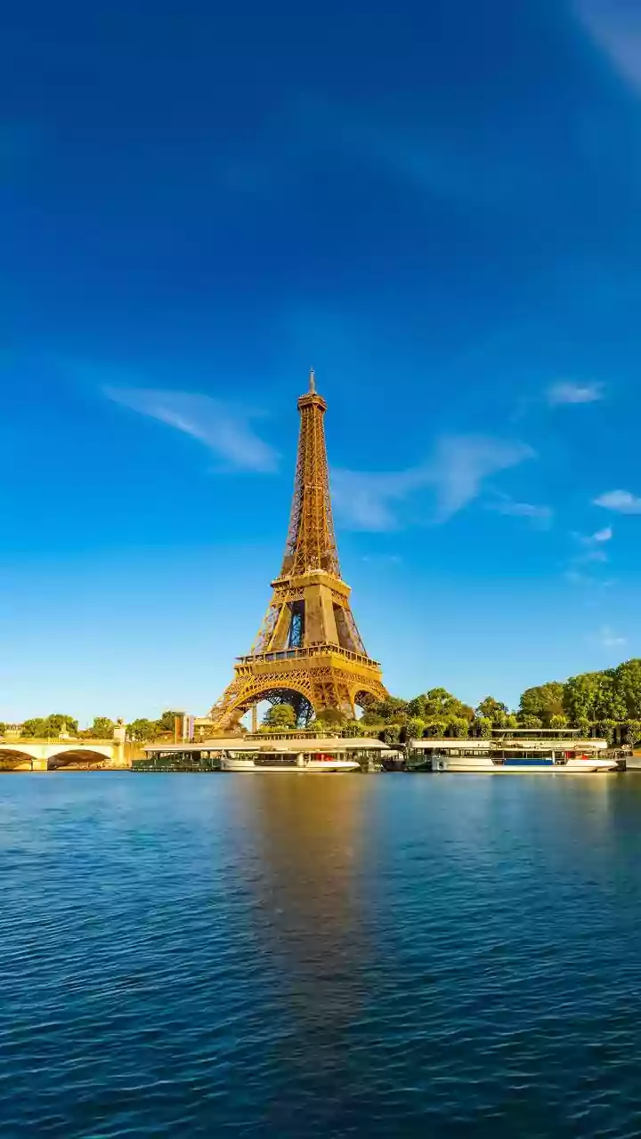 France reports first-ever case of deadly shamonda virus in human