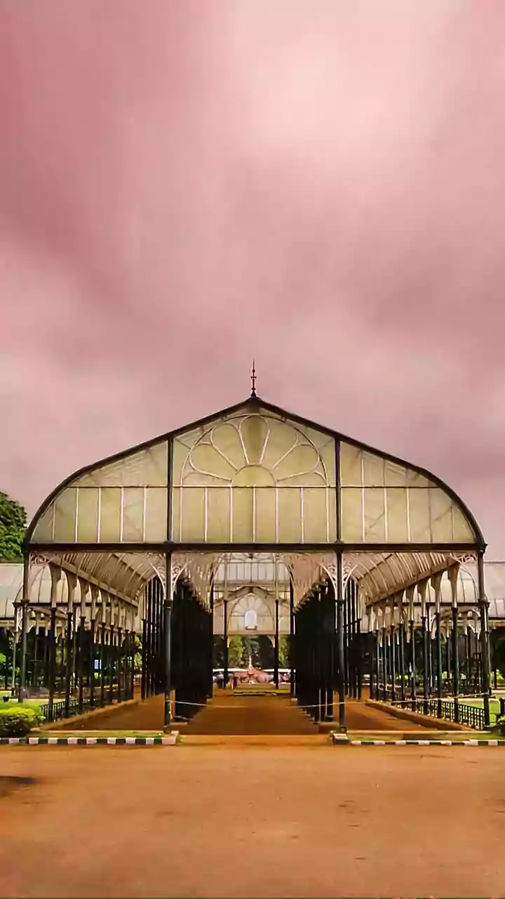 Cold Alert For Bengaluru: IMD Warns Of Severe Chill Across Interior Karnataka