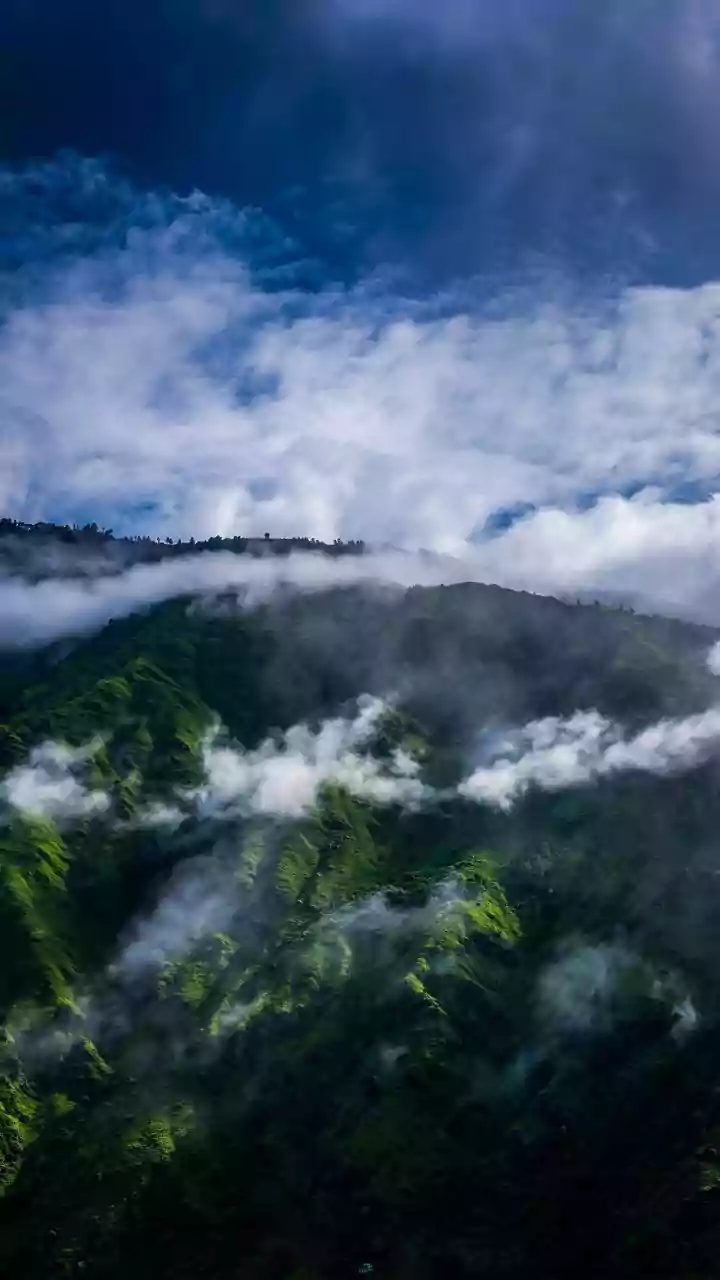 Fog continues in Uttarakhand plains, cold day conditions likely