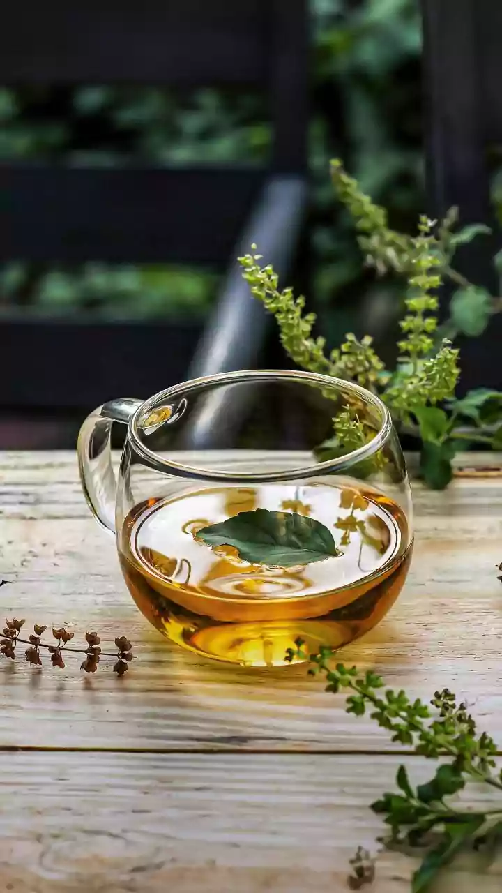 Honeybush Tea: South Africa's Antioxidant Powerhouse for a Healthier You!
