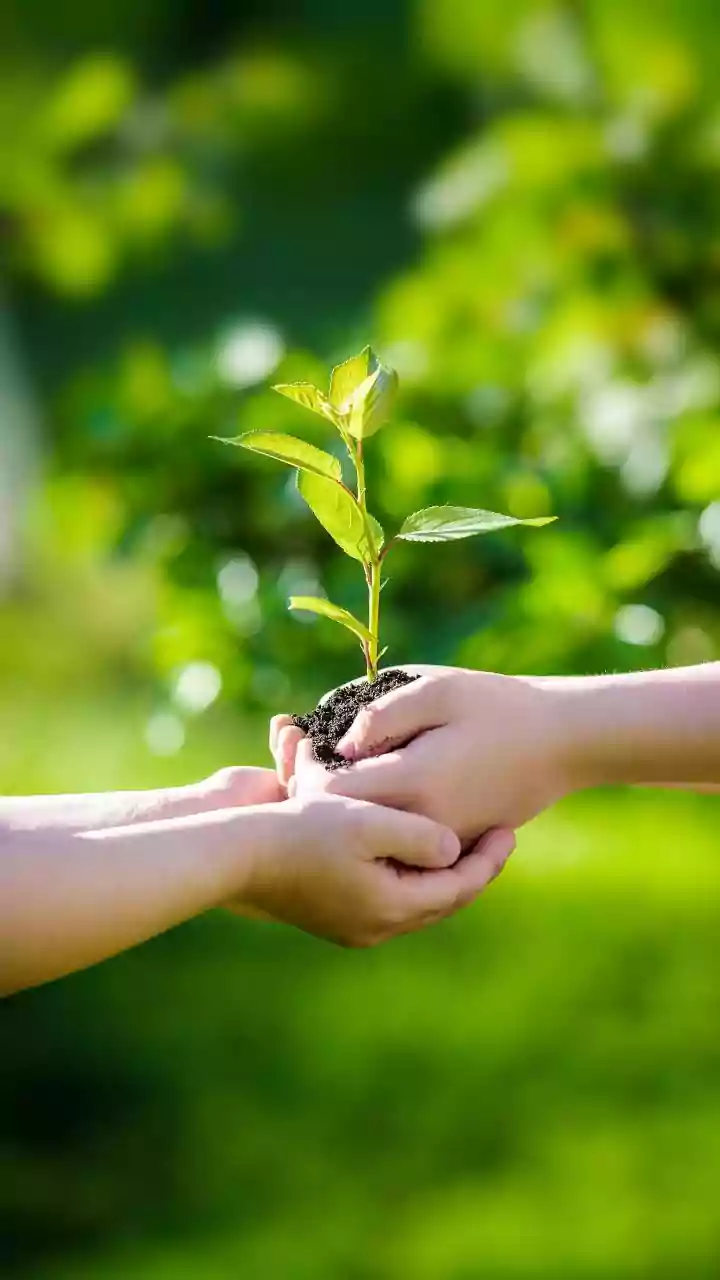 Unlock Your Power: The Transformative Shift from Blame to Responsibility