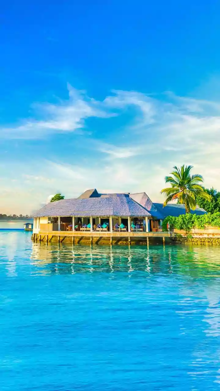 Local Cuisine Offers Resorts a Stronger Connection to Island Identity
