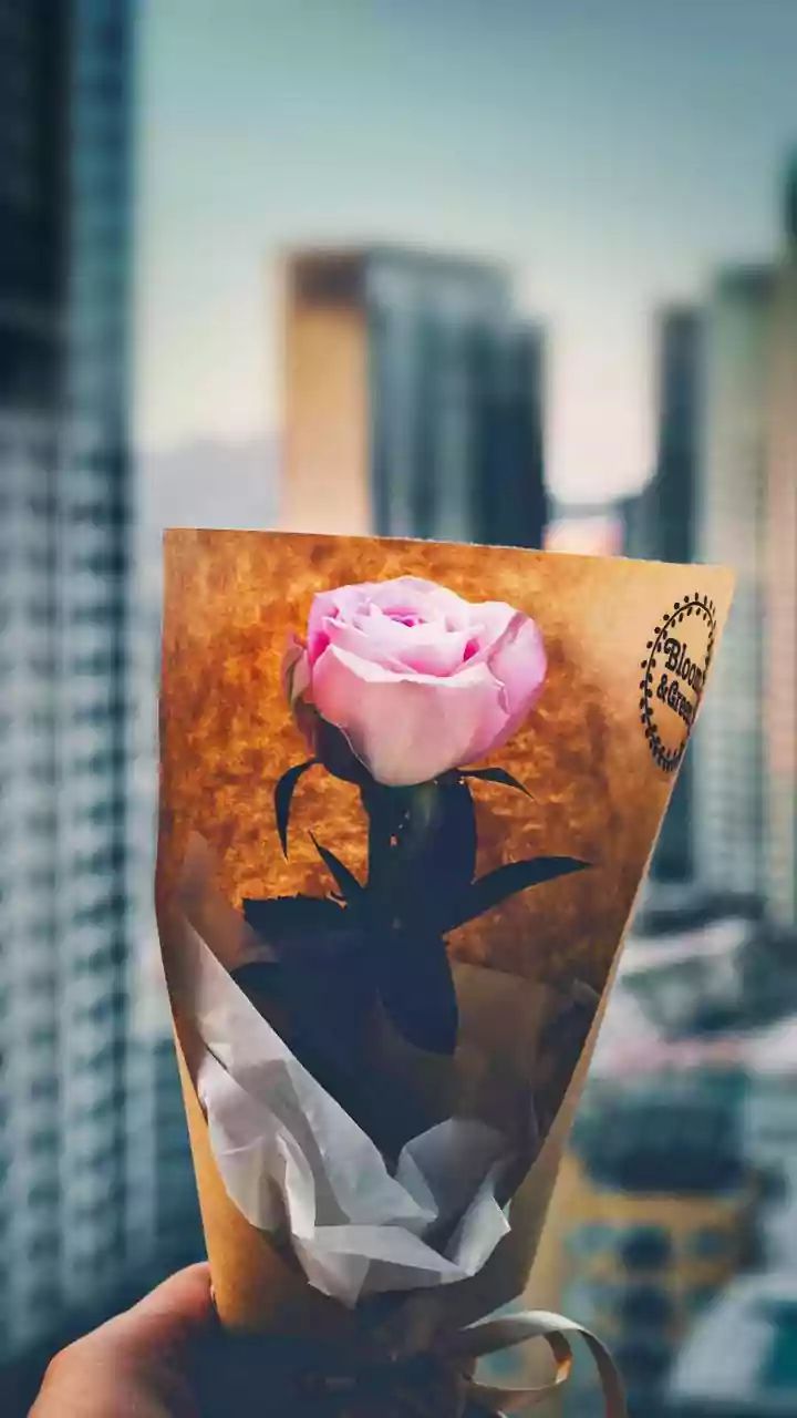 Celebrate Rose Day 2026: Heartfelt Quotes & Wishes for Your Cherished Best Friend