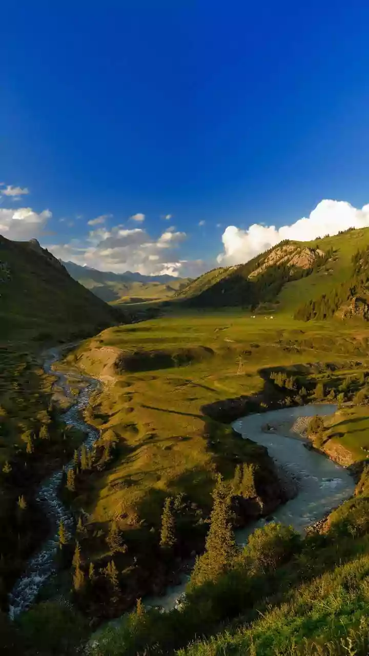 Budget Friendly Caucasus Trips Open Up For Indians Through Quick Georgia EVisa Portals