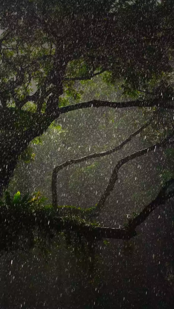 Monsoon Chasers Document Sudden Rainfall Halt Across Central Indian States