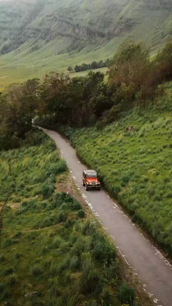 4 killed in head-on collision between lorry, pickup vehicles