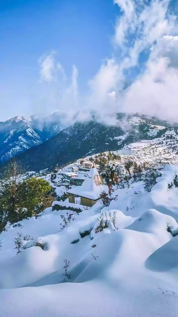 Fresh Snowfall Blankets Uttarakhand's Chamoli District