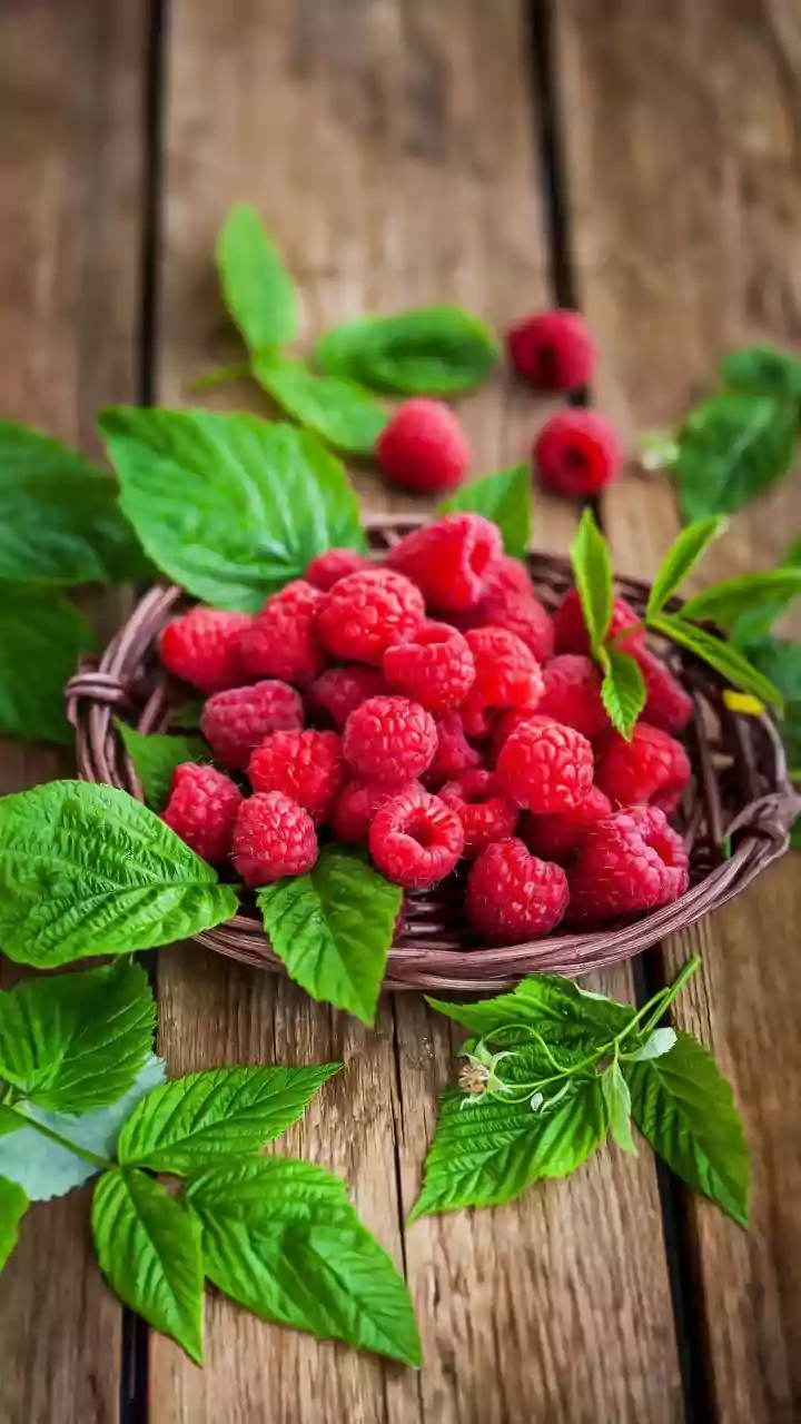 How to grow raspberries indoors