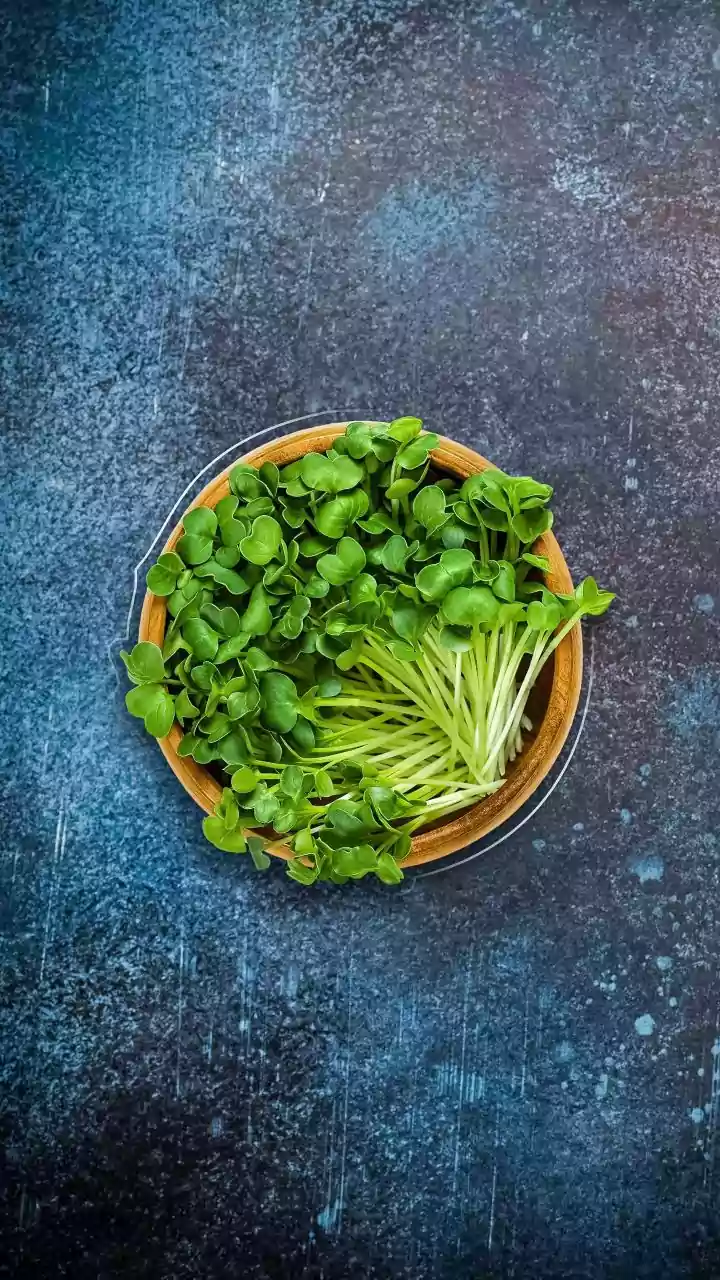 Planning A Use-First Produce Box Starts With Clear Choices About Delicate Vegetables