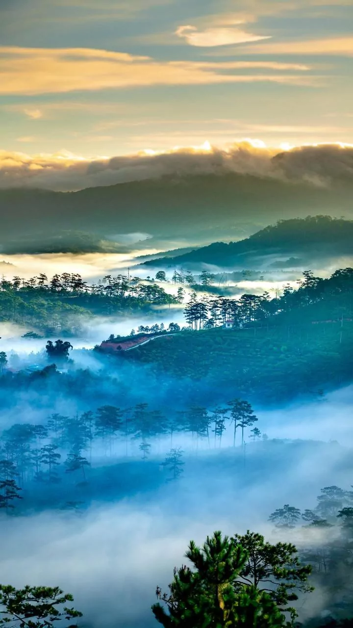 Why Shillong Workations Offer The Ultimate Rainy Season Escape For Remote Workers