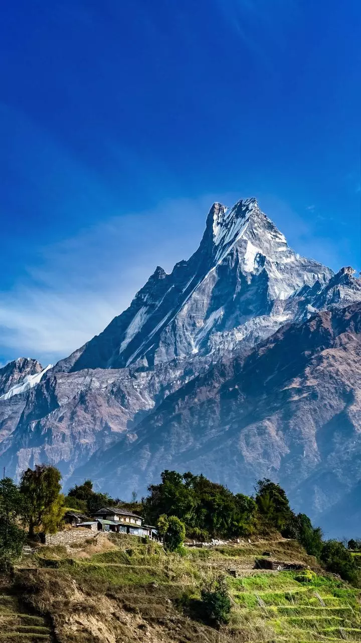 Nepal receives USD 9.4 million from World Bank for reducing carbon