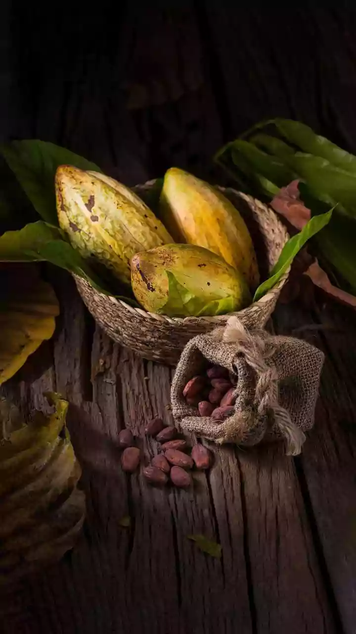 How to navigate Africa's cocoa markets