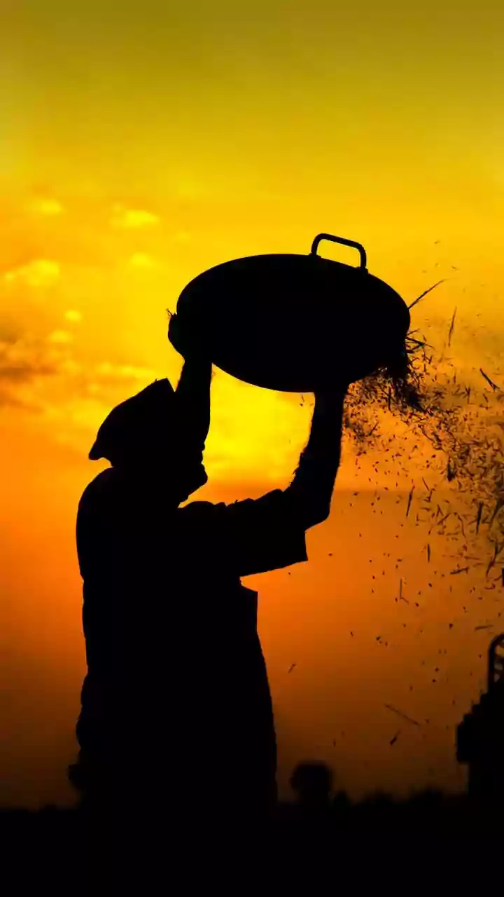 The Latest Kisan Credit Card Assessment: The Questions Readers Should Ask About Interest-Support Effectiveness
