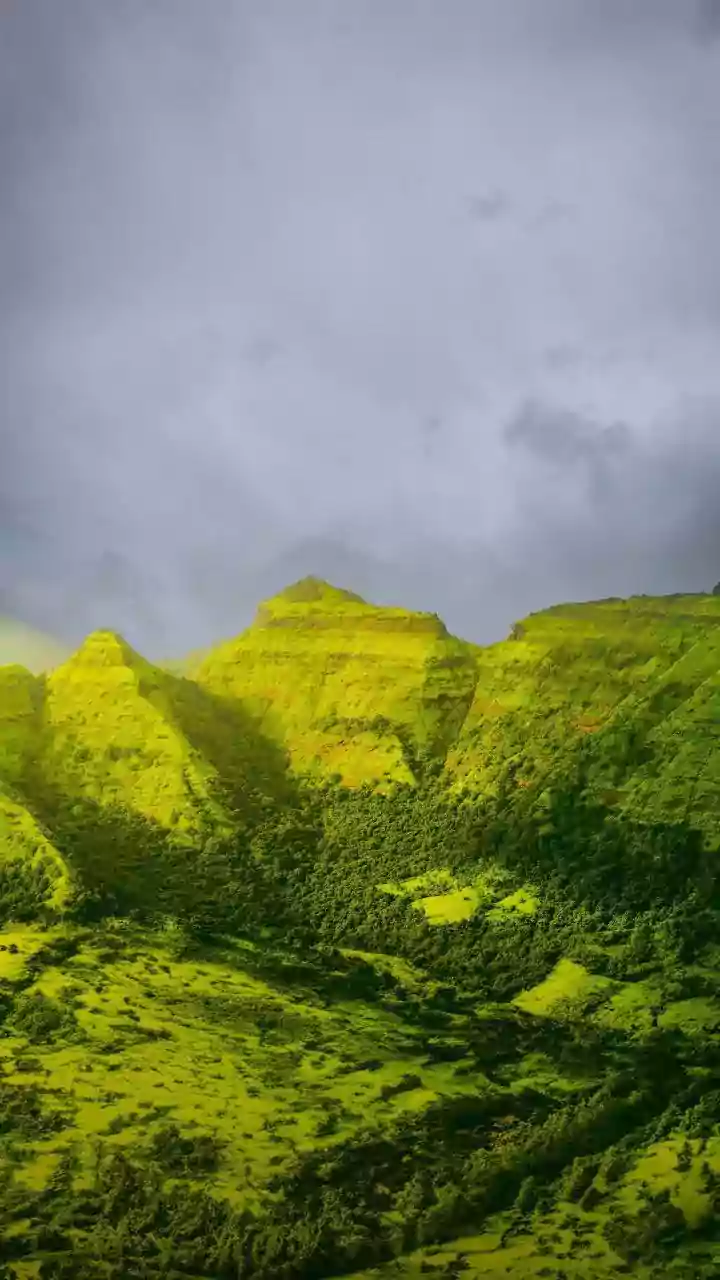 Monsoon Magic: India's Top Luxury Escapes Transformed by the Rains