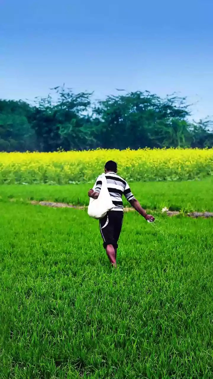 Andhra Urea Shortage a Rs 250 Cr Scam: Jagan