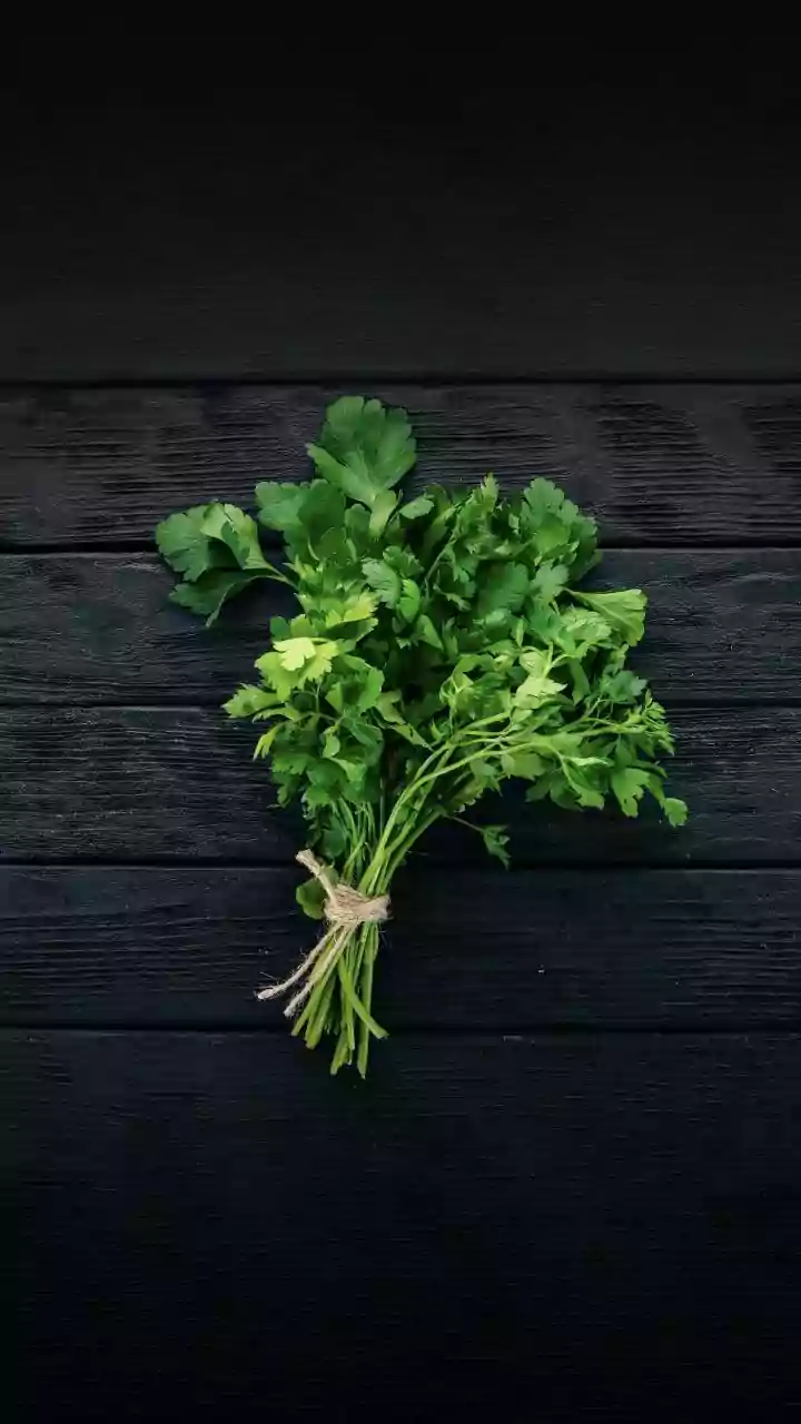 Monsoon Disruptions Send Coriander Prices Soaring Across Indian Markets