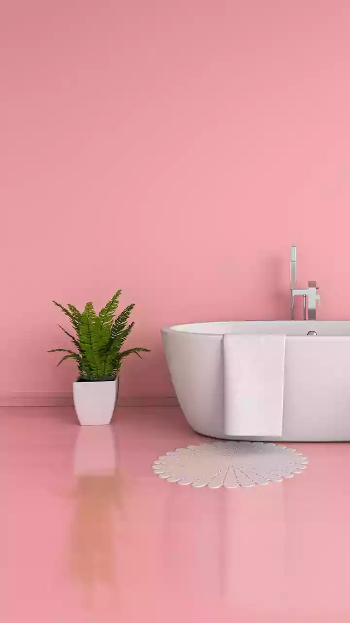 Unmasking Bathroom's Pink Film: It's Not Mold, It's Bacteria!