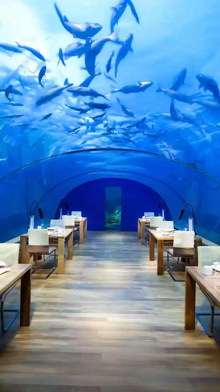 Why Restaurants Are Designing Food For Instagram And Short-Form Video
