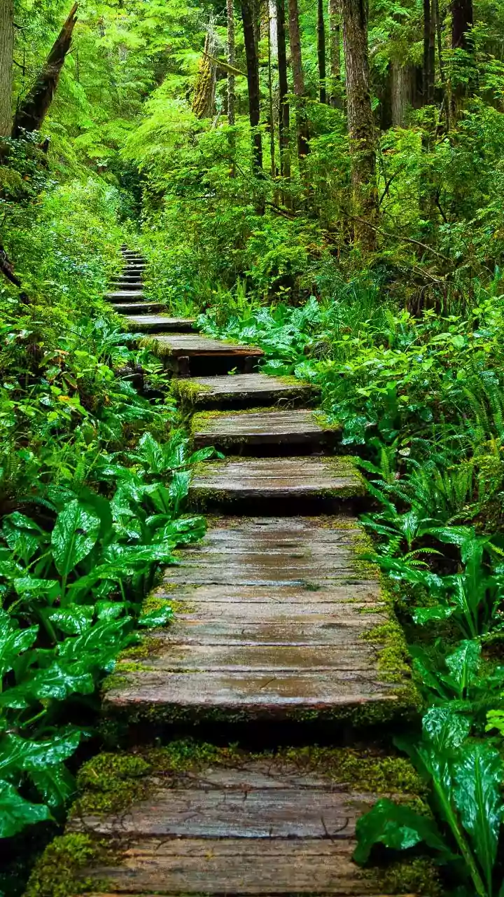 Moist weather back — easy hack keeps jaggery solid longer