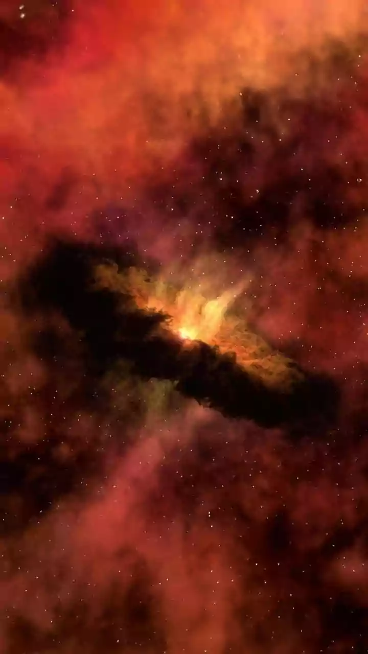 Born in Nebulas, Buried in Black Holes: The Life Cycle of Stars
