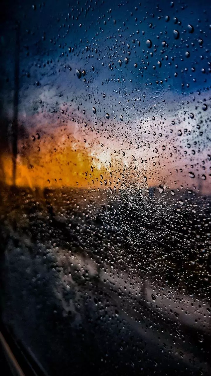 Karauli coldest in Rajasthan at 4.6 degree Celsius; fog, light rain expected