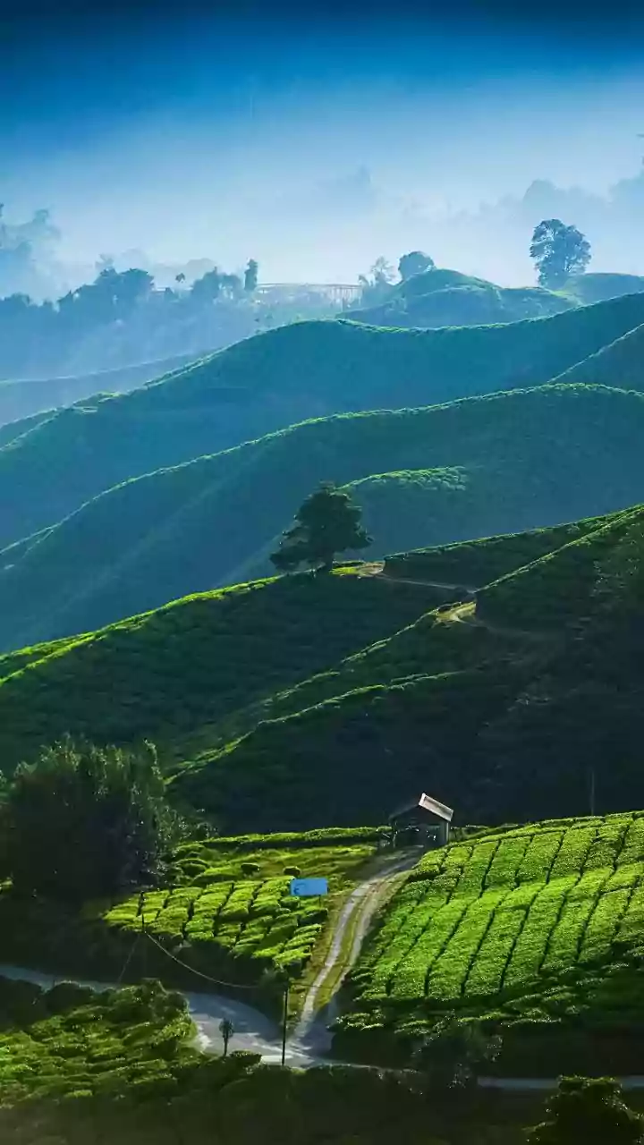 EC officials review poll preparedness in Assam