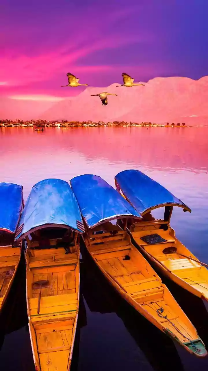 India's Monsoon Booking Surge Moves Earlier Reservations For Monsoon Breaks Up The Agenda