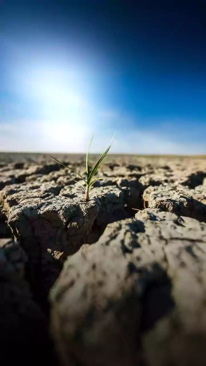 O El Niño oficialmente começou – e deve ficar “muito forte” nos próximos meses