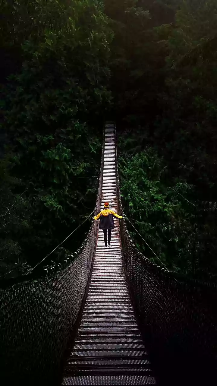 Living Root Bridge Hikes Offer Unmatched Value For Budget Backpackers In Meghalaya