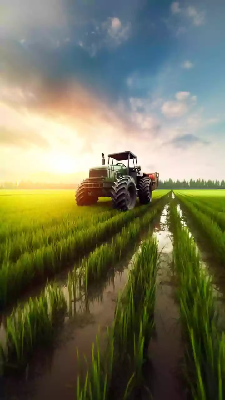 Farmers' group threatens Sambalpur shutdown on Dec 19 over paddy procurement