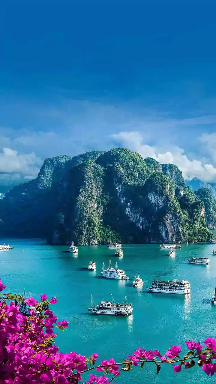 Planning Asia trip? Consider skipping these tourist spots