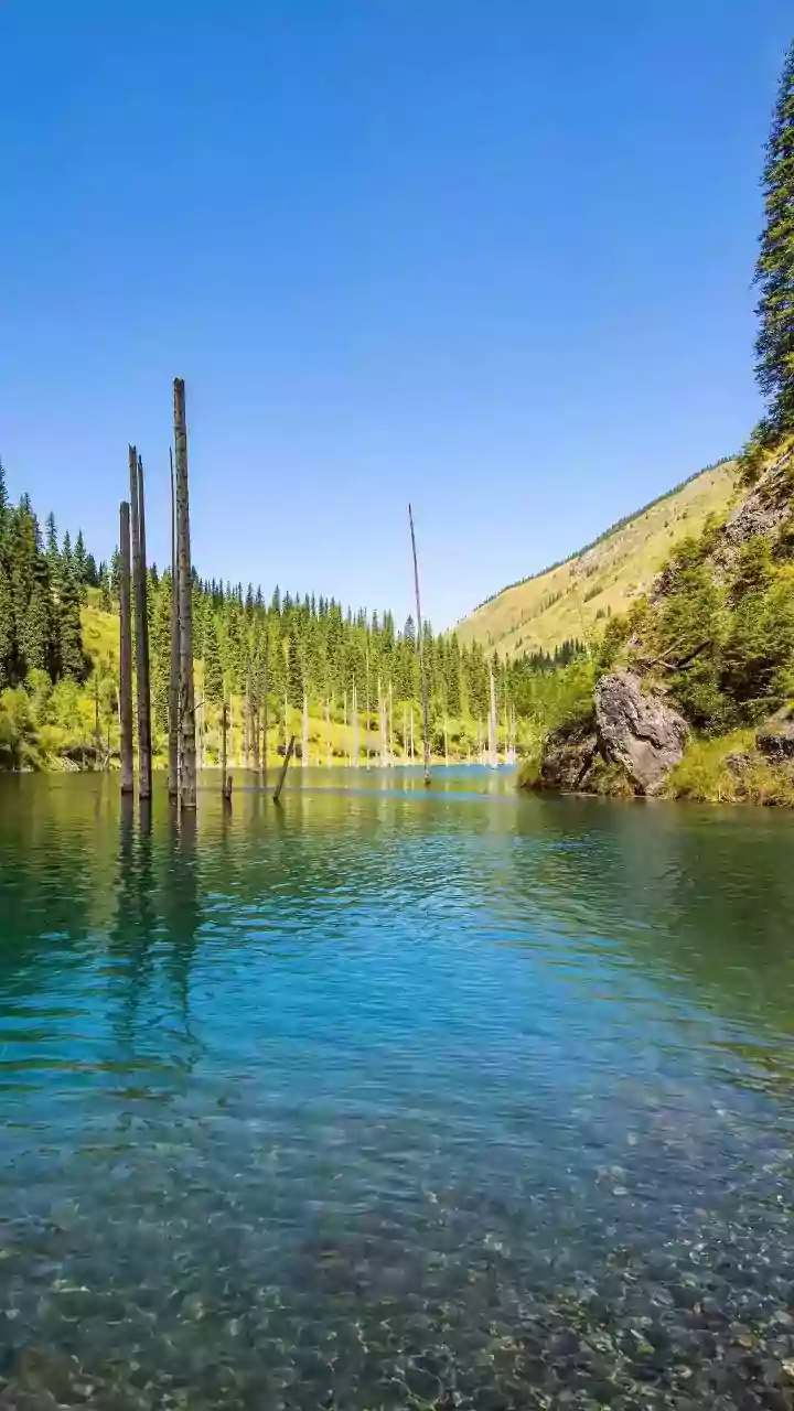 Unveiling Oregon's Soothing Hot Springs: A Traveler's Guide