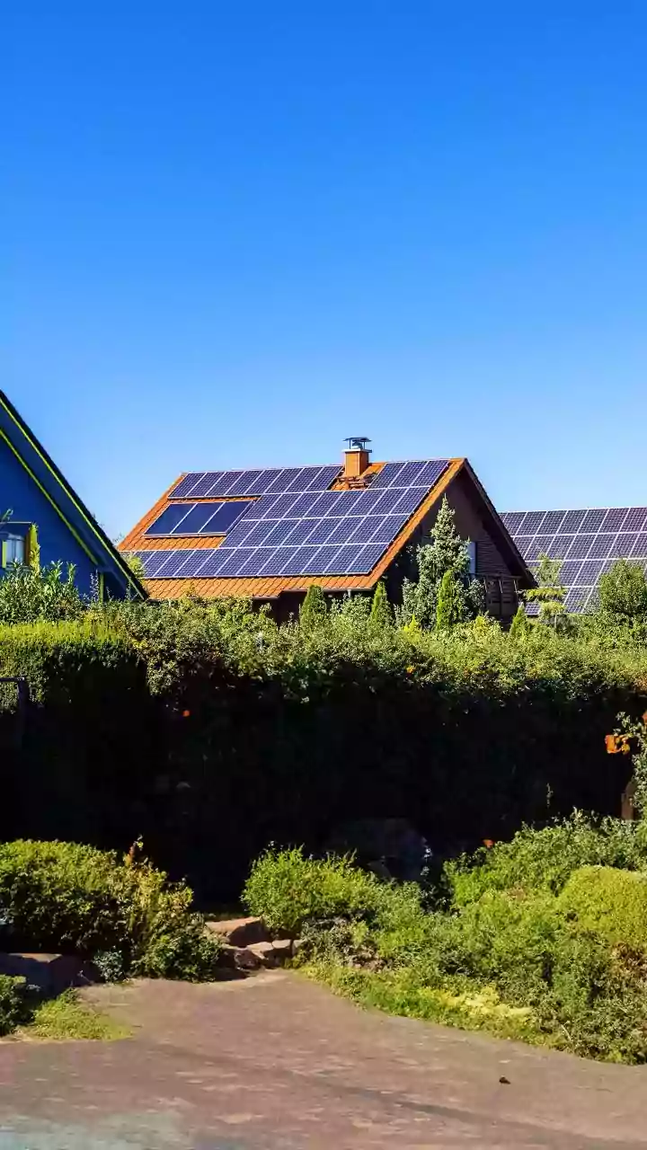 Researchers Synthesise Squid Ink Melanin Compounds To Protect Solar Panels From Heat Damage