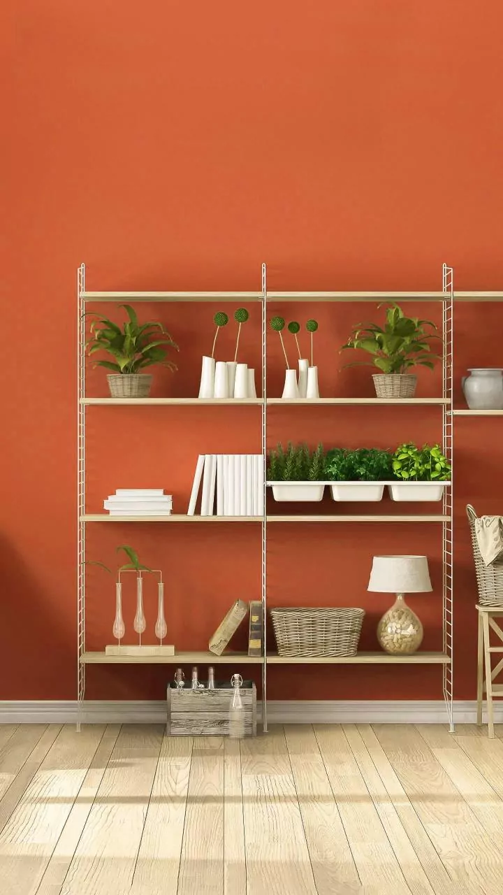 Vertical Shelving Can Help Small Indian Homes Store Books, Plants And Everyday Household Items