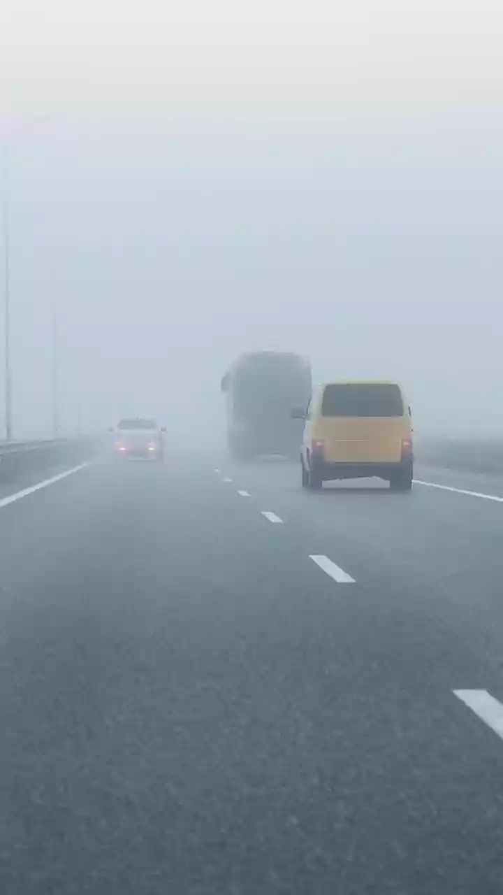 Delhi Smog Alert: Dense Fog Disrupts Life & Travel