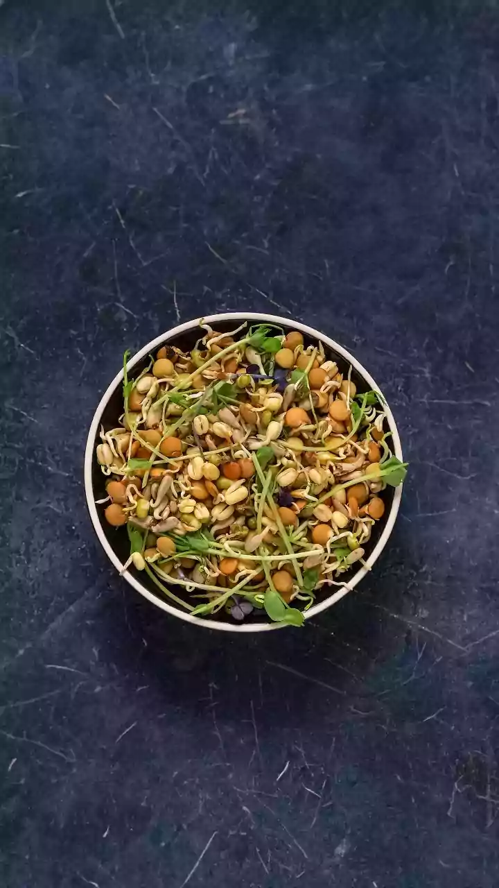 A Wider Mix Of Plant Protein Can Help Indian Vegetarian Meals Feel More Varied Across The Week