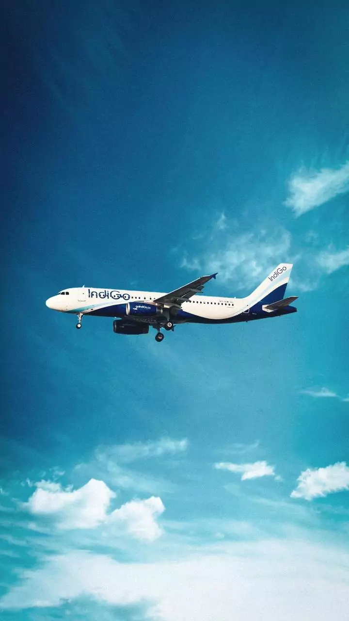 IndiGo Hyderabad flight aborts Chennai landing after suspected bird strike