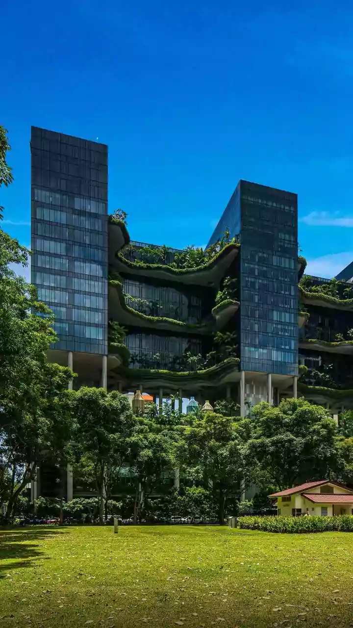 The Low-Water Gardening Shift: A Practical Take On Designing Gardens For Lower Water Demand