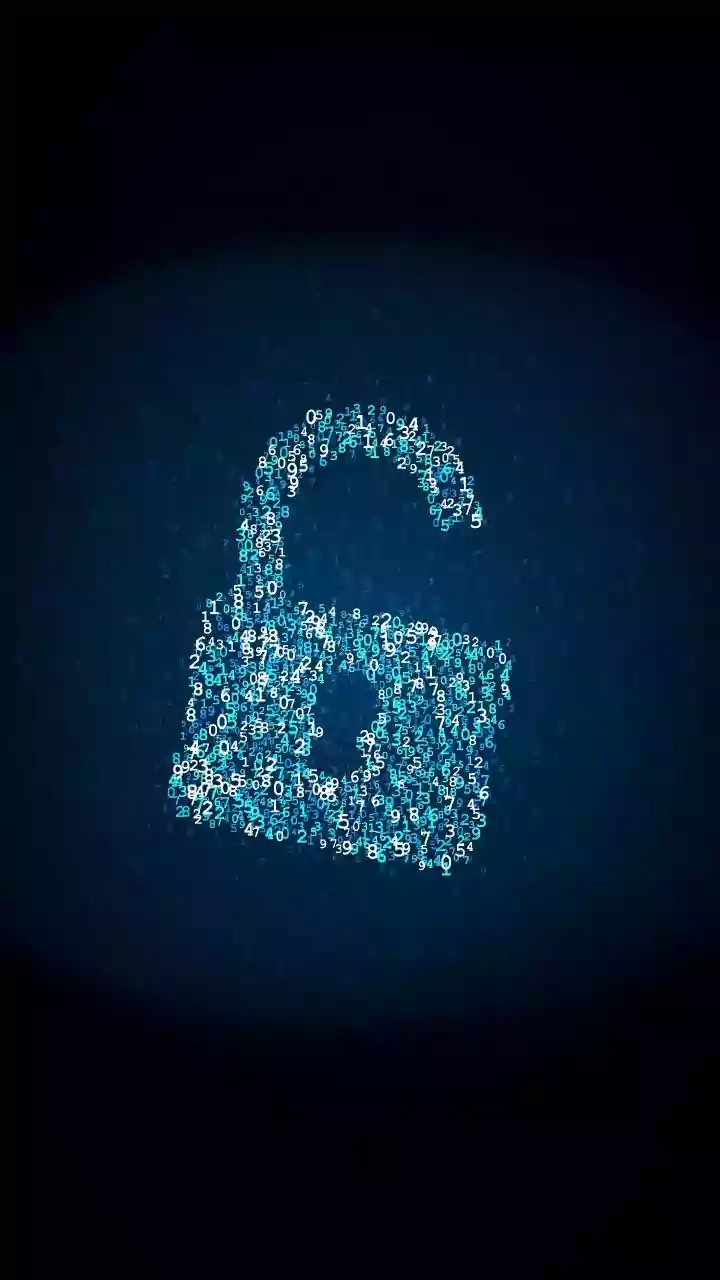 Understanding Digital Privacy: A User's Guide